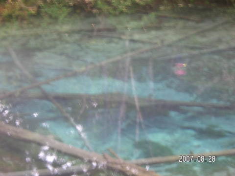 s_PICT0371.jpg
